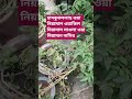 #islamicvideo #hadisbangla #viralvideo #ytshorts