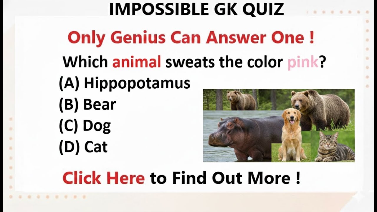 Which Animal Sweats the Color Pink? GK | GK Question | English GK | GK GS | GK Class | GK in English
