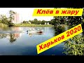 Рыбалка в Харькове 13 июня 2020