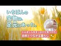 息子のじんましんが教えてくれた、人と地球が喜ぶ暮らし。手作り保存食と無農薬家庭菜園で見つけた宝物