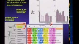 DNA evidence for evolution (3/4)