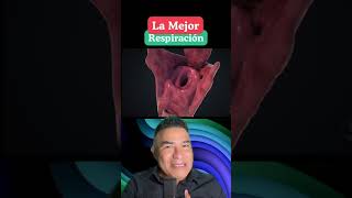 La mejor respiración