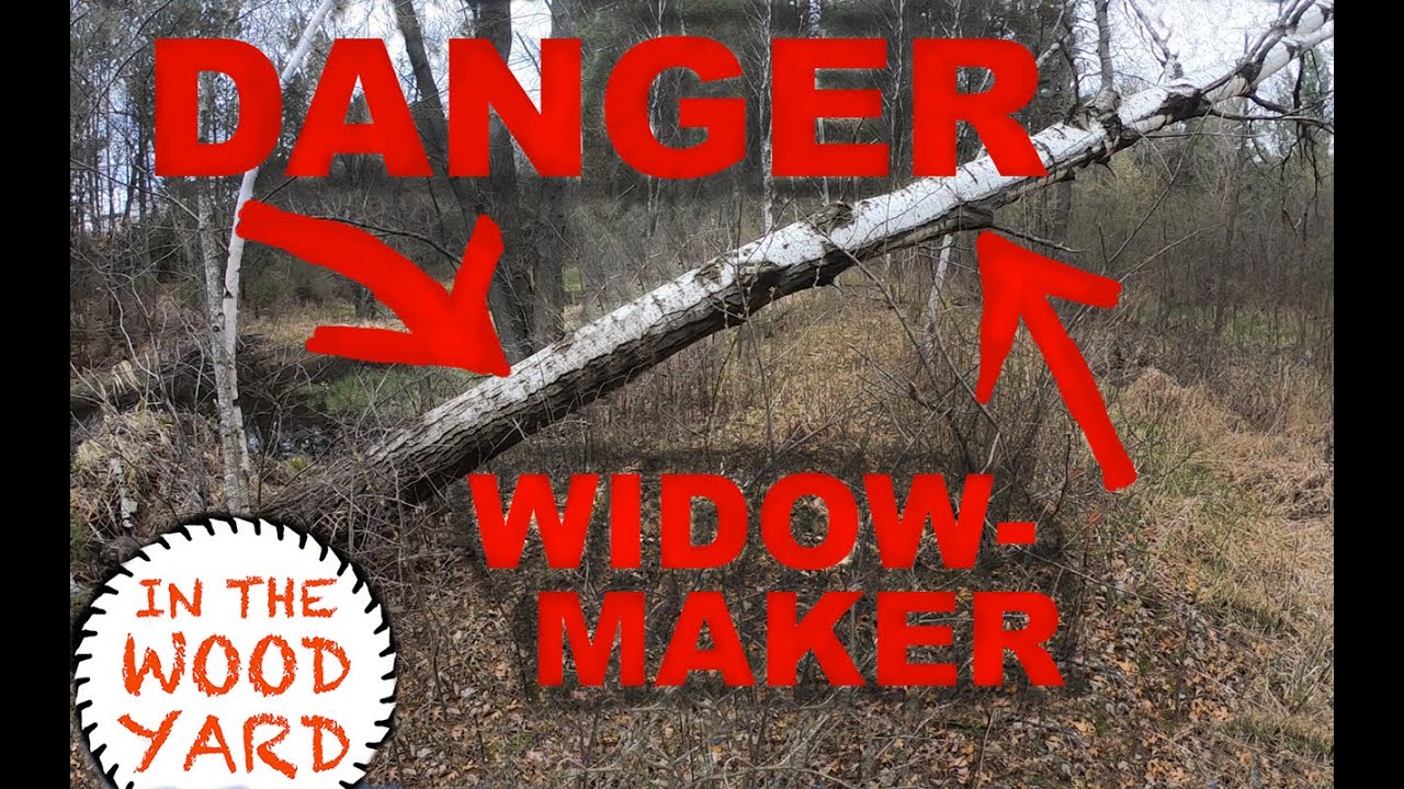 299 Dangerous and Hung Up Tree; Cut Down! A Widow maker. YouTube