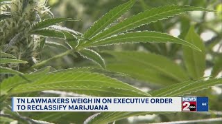 Tennessee Lawmakers Weigh In On Executive Order To Reclify Marijuana