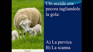 Lingua italiana lessico 22.997