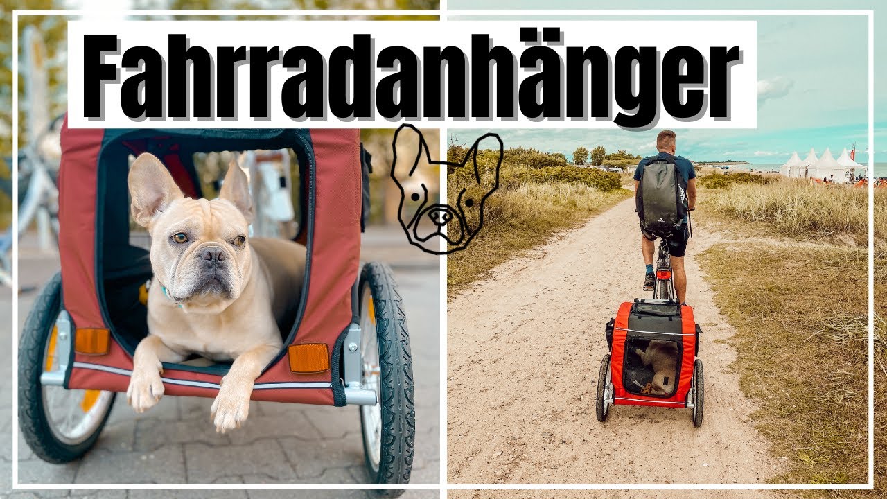 FAHRRADFAHREN mit HUND FAHRRADANHÄNGER YouTube