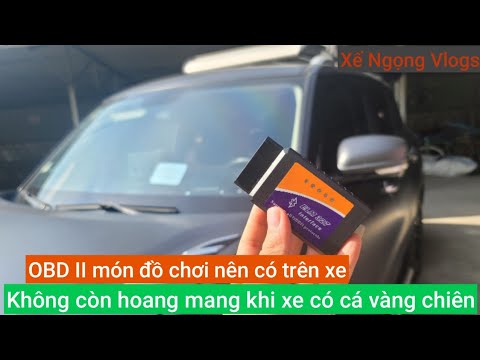 Video: VR của ngày hôm nay chỉ là sự khởi đầu: Đây là điều gì sẽ xảy ra trong tương lai