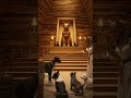 Jet is in the dog house (fantasy)