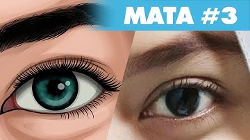 vexel/vector tutorial | mata part #3