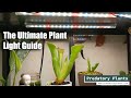 The ultimate plant light guide