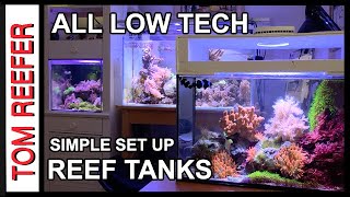 Reef Tank Low Tech Easy Reef Set Ups Super Successful 