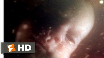 The Butterfly Effect (10/10) Movie CLIP - Director