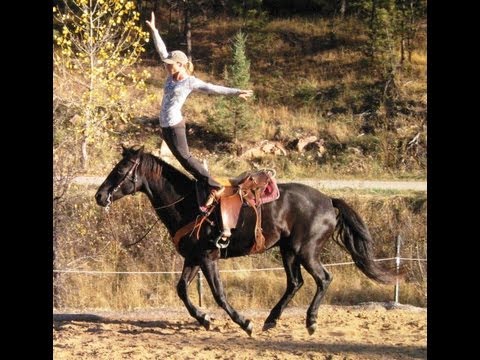 Hippodrome Stand Trick Riding Lesson