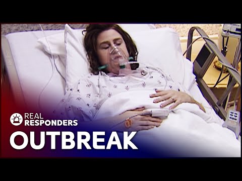 Video: In The USA, A New Dangerous Infection Has Been Identified - - Alternative View