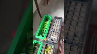 teknofest 2026 fasilsn8n hasılatı bitki yem toprak fotosentez sindirilebilirlik #teknofest #teknotar