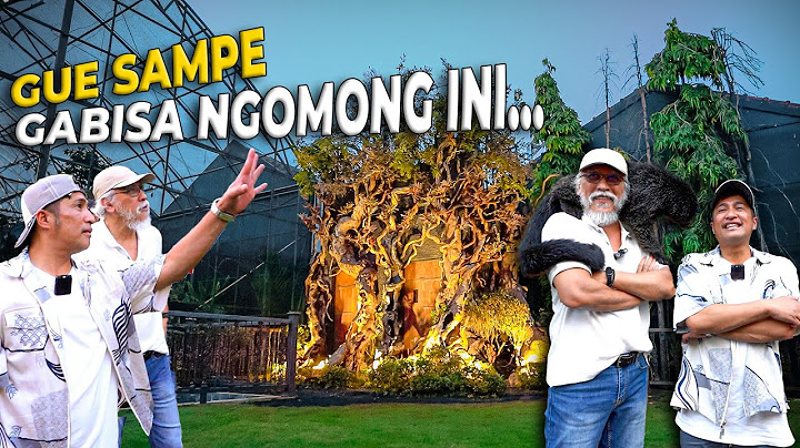 IWAN FALS SAMPE SPEECHLESS KELILING DI RUMAH GW..!
