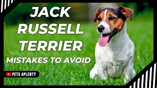 JACK RUSSELL TERRIER: MISTAKES TO AVOID | JACK RUSSELL TRAINING TIPS | JACK RUSSELL PUPPY TRAINING