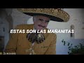 LAS MAÑANITAS Vicente Fernández LETRA Estas Son Las Mañanitas LAS MAÑANITAS Vicente Fernández LETRA Estas Son Las Mañanitas