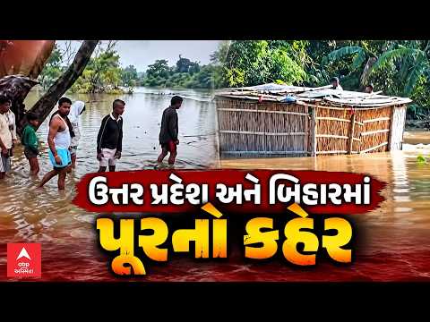 Heavy Rainfall | ઉત્તર પ્રદેશ અને બિહારમાં પૂરનો કહેર, નેપાળમાંથી પાણી છોડાતા ચેકડેમ તૂટ્યા