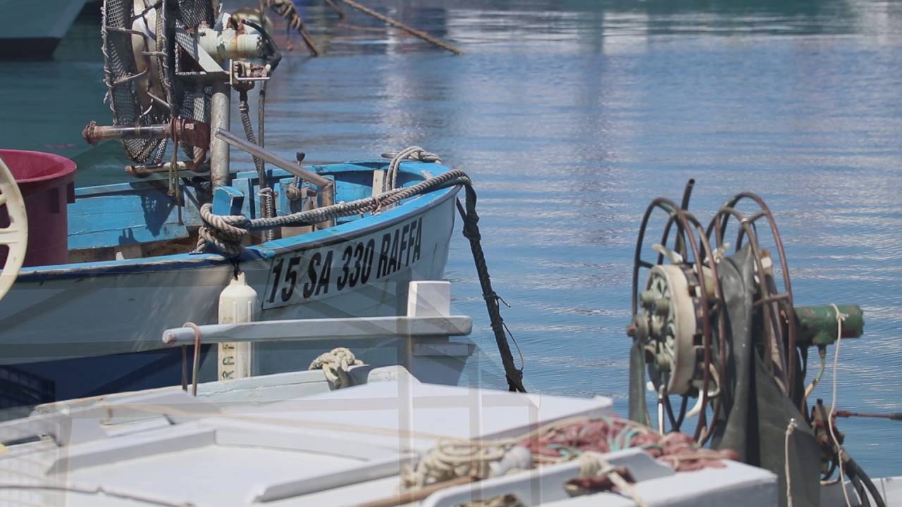 Test Video Canon EOS 80D (slow motion, reverse, auto-focus)