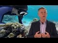 HHMI Educator Tips | Coral Reef Scientists at Work