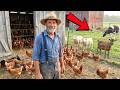 20 BEST Animals Amish Raise on 1/2 Acre for Self-Sufficient Living