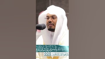 متكئين فيها على الأرائك لا يرون فيها شمساً ولا زمهريرا~تلاوة تحبيرية ماتعة بصوت الشيخ ياسر الدوسري