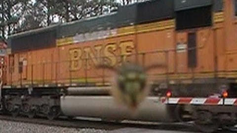 Bee Seeing You Train 737.mpg