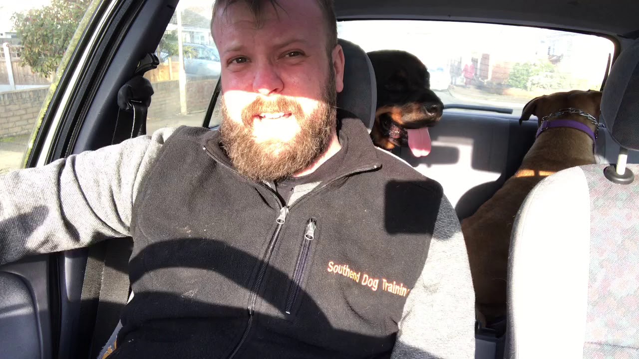 SHOULD YOU PUNISH YOUR DOG FOR GROWLING ??? essex county nj