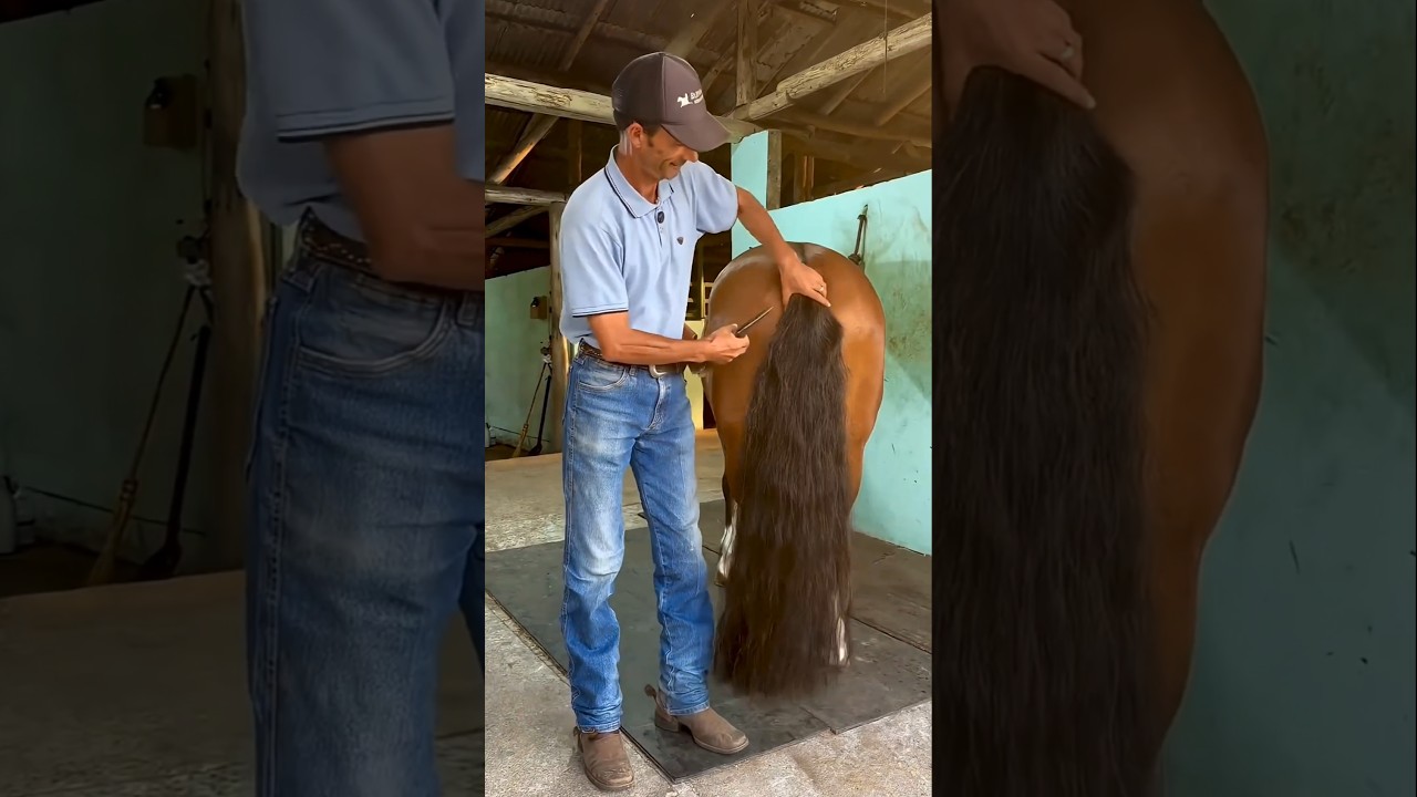 Original Title & Thumbnail