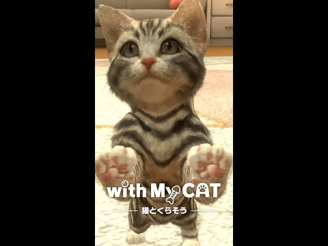 With My Cat 猫とくらそう Google Play のアプリ