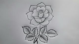 Rose Drawing | How To Draw A Rose | Flower Design Drawing | Flower Art