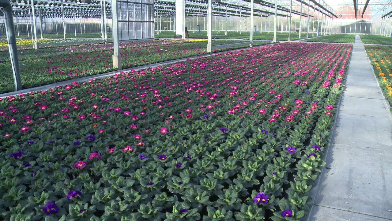 All the possibilities of the ErfGoedFloor