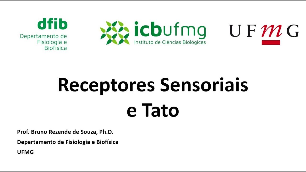 Princípios Básicos sobre Receptores Sensoriais e Tato