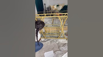 Stylish Amazon Bar Cart | #Home #homedecor #barcart