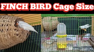 Finch Cage Size and Food
