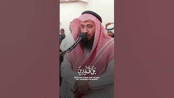 ايات من سورة القيامة بخشوع الشيخ علي صلاح عمر استمع إلى خشوعه #قران_كريم #القرآن_الكريم #اكسبلور #ل