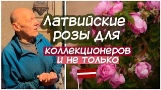 :   