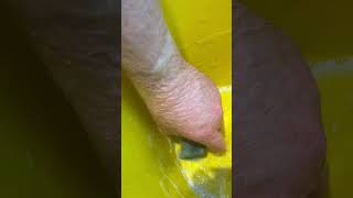IMG 89651