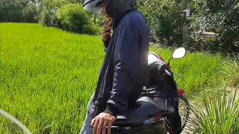 Bán đất ruộng lúa tại xã Phước Tuy, huyện Cần Đước, Long An, Dt 860m2