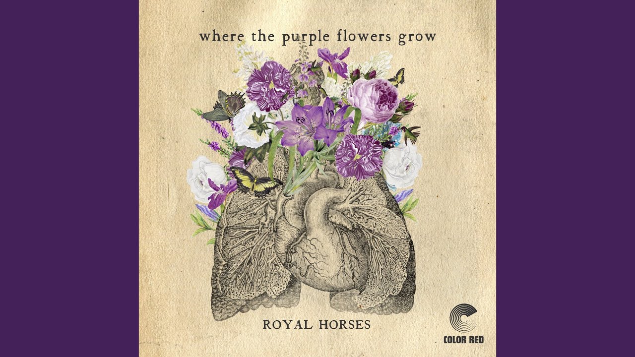 Watch Nothing But The Carolinas on YouTube Watch Nothing But The Carolinas on YouTube