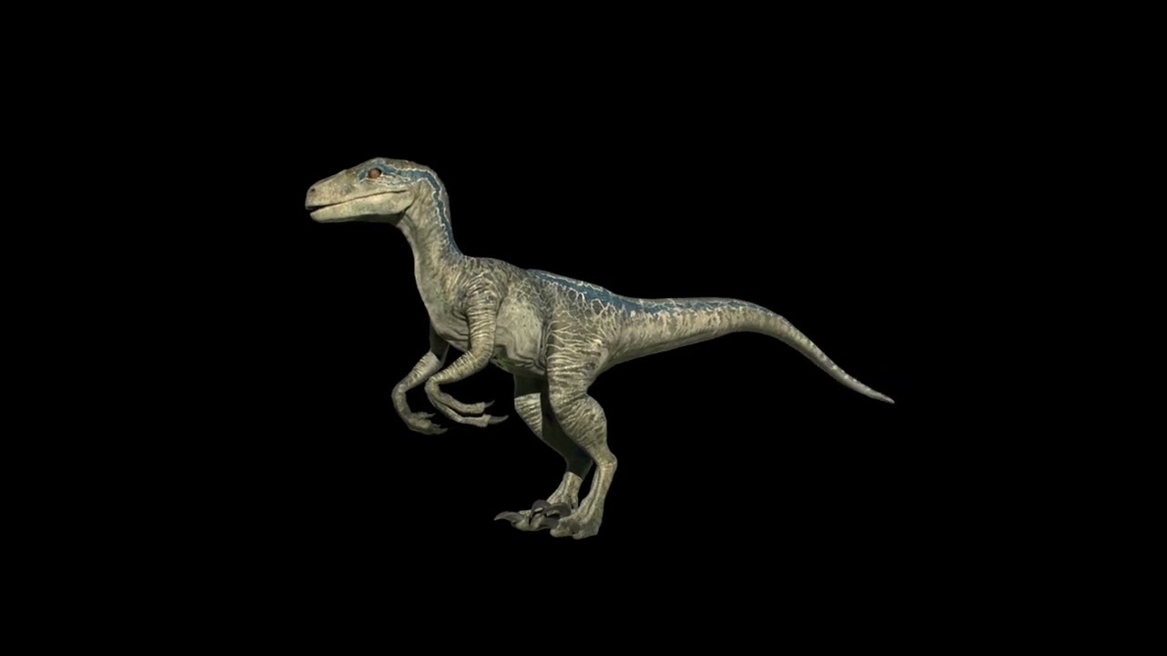 qantassaurus