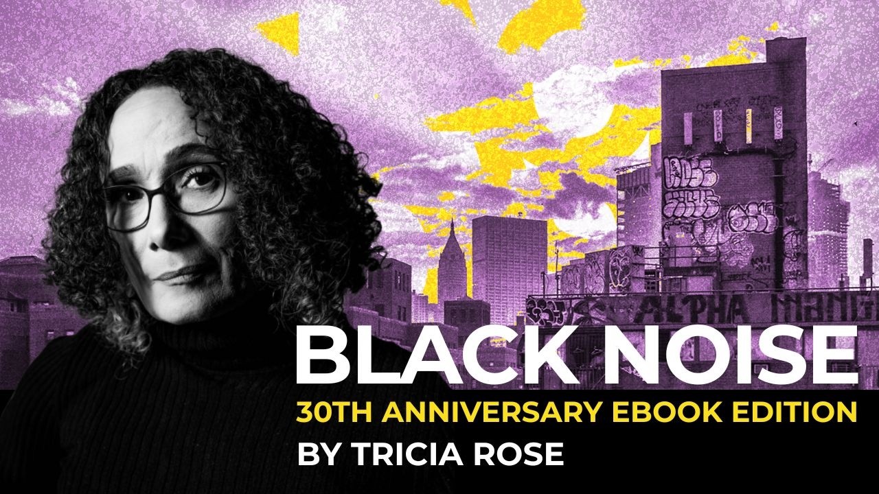 Black Noise 30th Anniversary eBook Edition — Tricia Rose