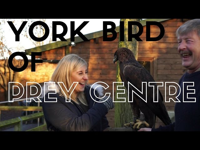 York Bird of Prey Centre. 