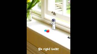 Don't eat the Candy, Rabbert  #funnyimages #funnymemes #shorts #short