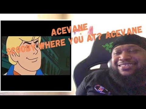 Acevane scooby where you at? Acevane (Scooby Compilation) Reaction