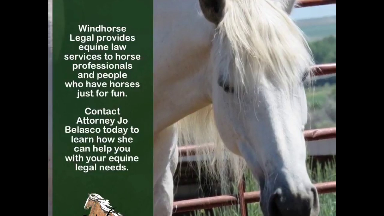 Equine Law at Windhorse Legal, PLLC