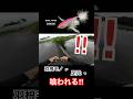 【バス釣り】ここ居そうだなぁー、と思ったところにダッジを投げ込むと… RAID JAPAN レイドジャパン　ダッジ　羽根モノ　トップウォーター