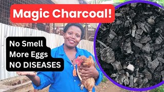 Benefits of charcoal to poultry farming/how much charcoal to give and how to administer to birds. screenshot 5