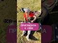 Песня “К себе домой». #shorts  #shortsongs  #musicshorts #short  #shortmusic  #shortvideo